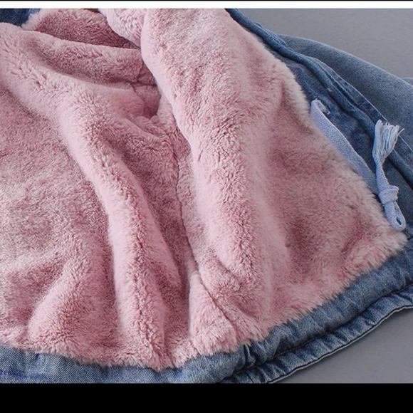 Jacket - Picture 3 of 3